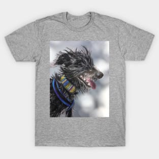 Beddy Whippet Scruffy Lurcher T-Shirt